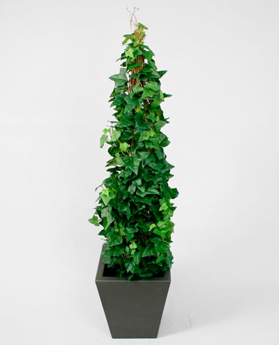 166-070 Ivy On Stock 60cm, 166-100 Ivy Natasja 100cm